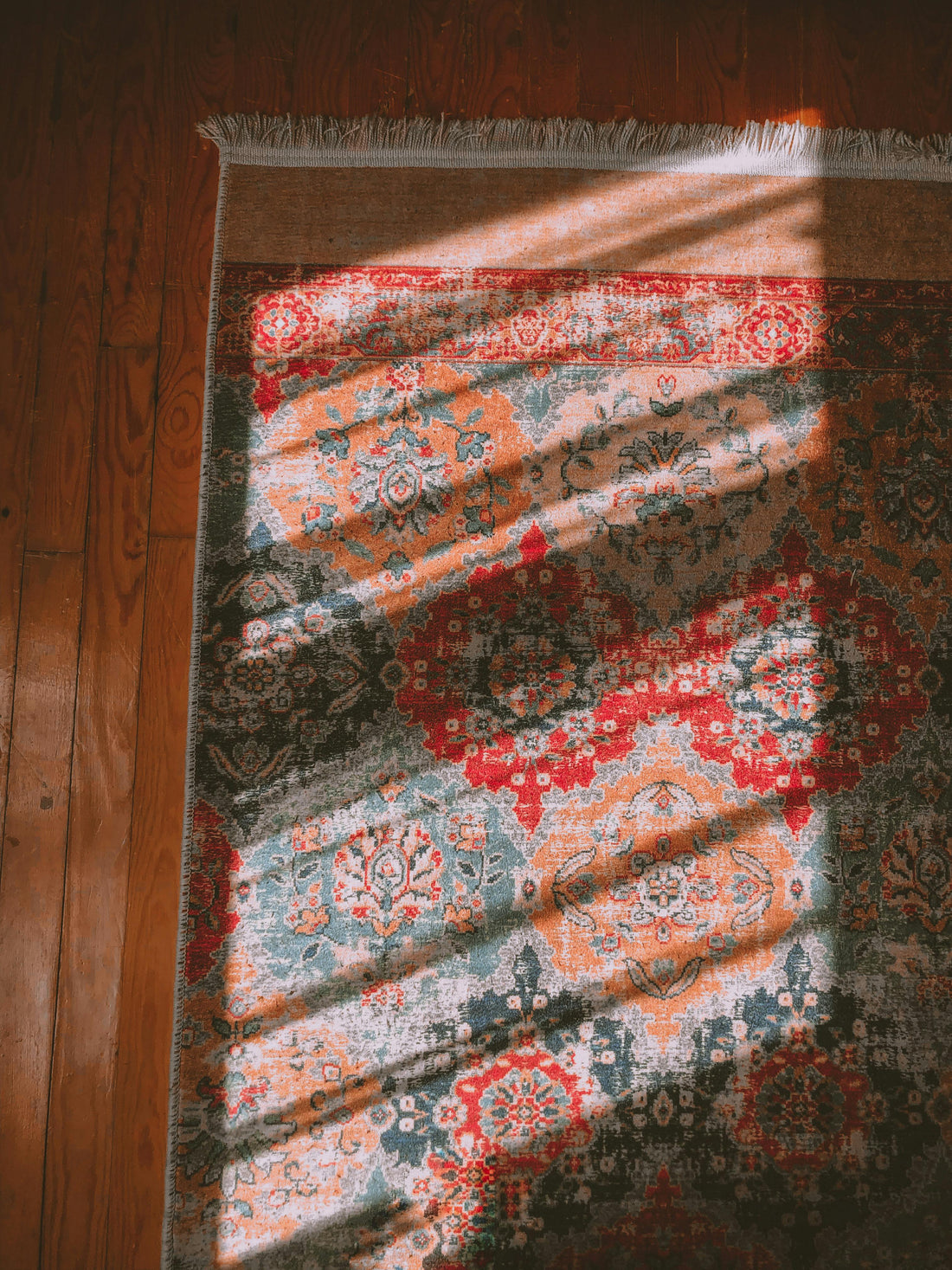 Low Moisture Carpet Cleaning: What Every Homeowner Needs To Know