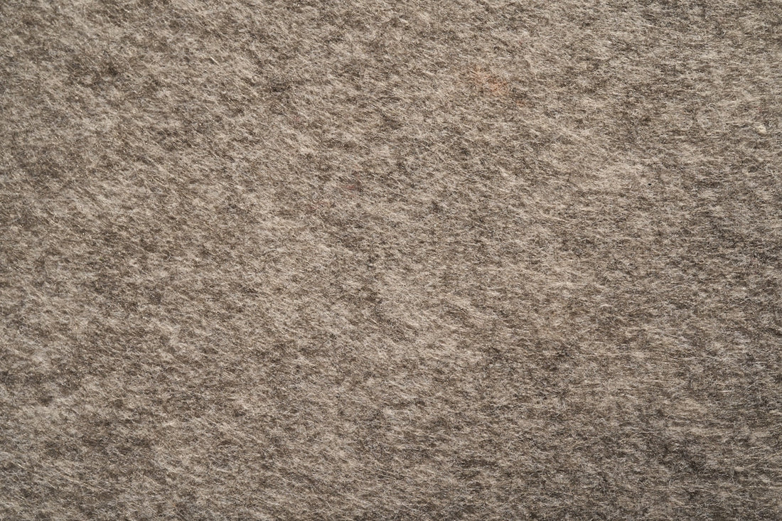 person in black shoes standing on brown carpet